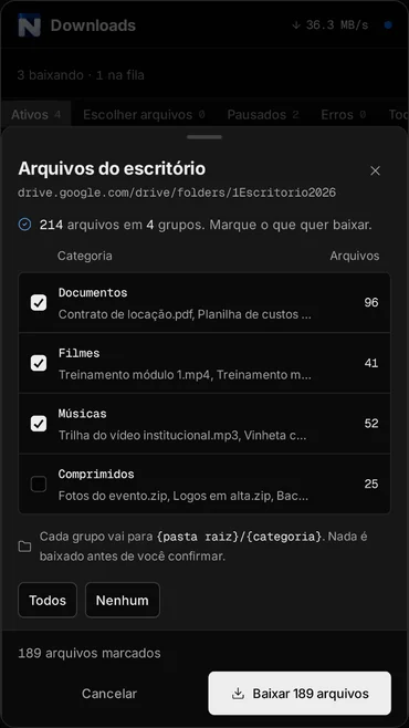 Tela do app com a pasta do Drive aberta, mostrando 214 arquivos em quatro grupos e o botão para baixar 189 arquivos